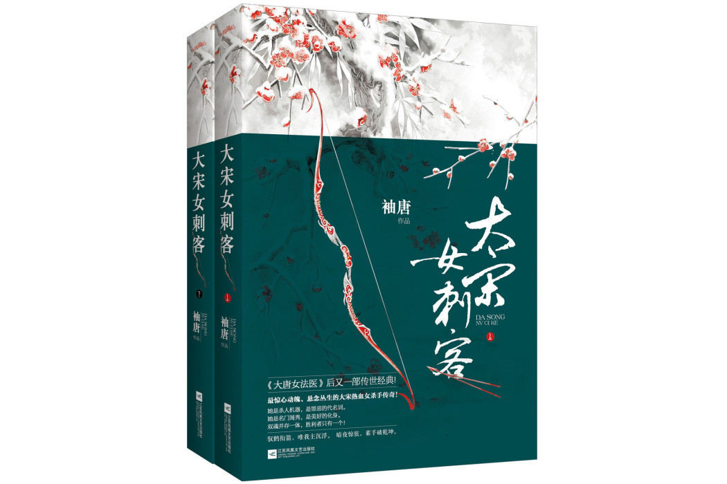 大宋女刺客 大宋女刺客