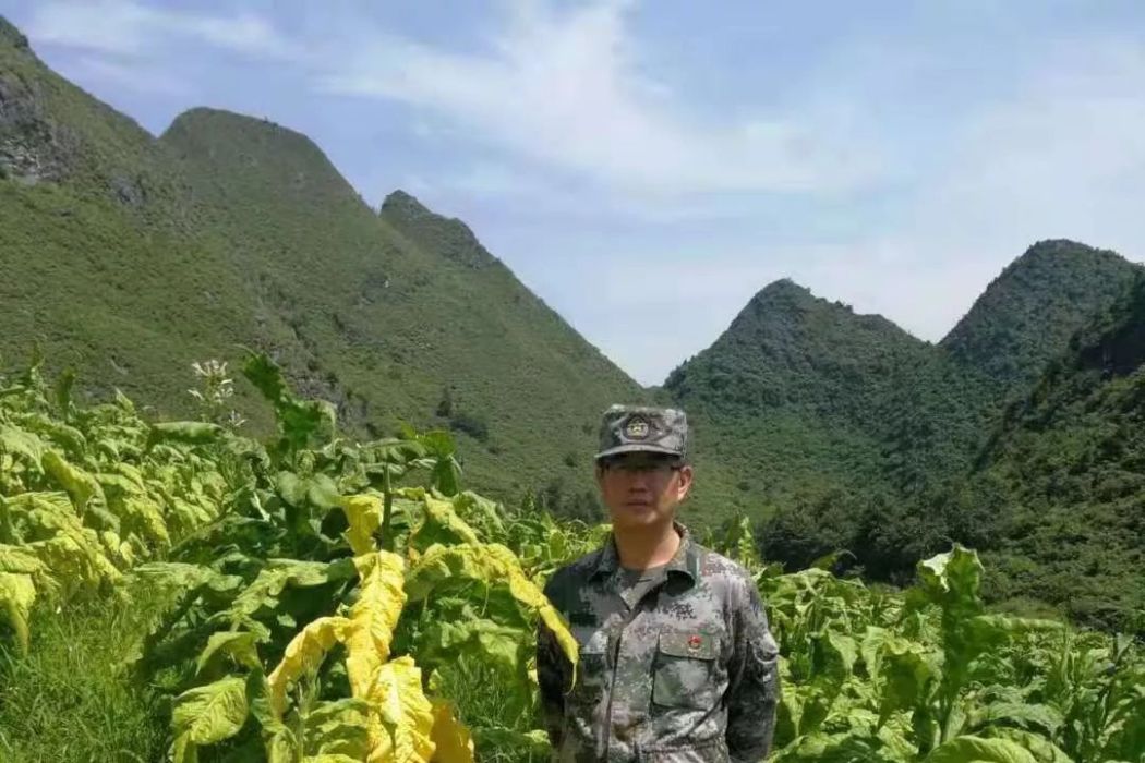 羅金洲 羅金洲