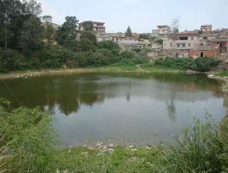 曾嶺村(福建省泉州市南安市水頭鎮下轄村) 曾嶺村(福建省泉州市南安市水頭鎮下轄村)