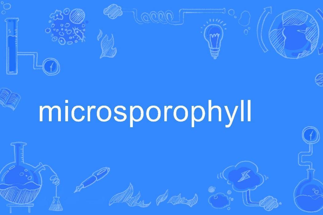 microsporophyll microsporophyll