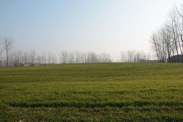 小墩子遺址 小墩子遺址