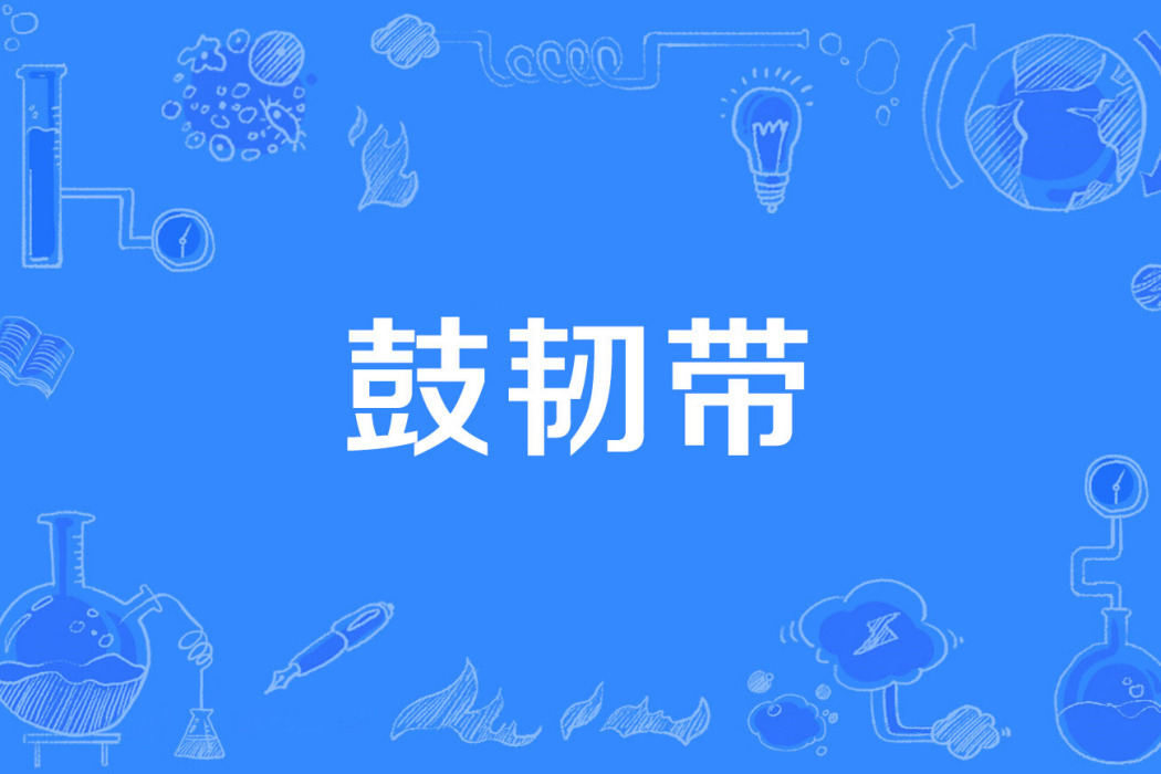 鼓韌帶 鼓韌帶