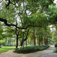 綠島公園 綠島公園