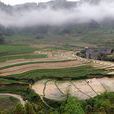 北景鄉(山西省運城市臨猗縣北景鄉) 北景鄉(山西省運城市臨猗縣北景鄉)