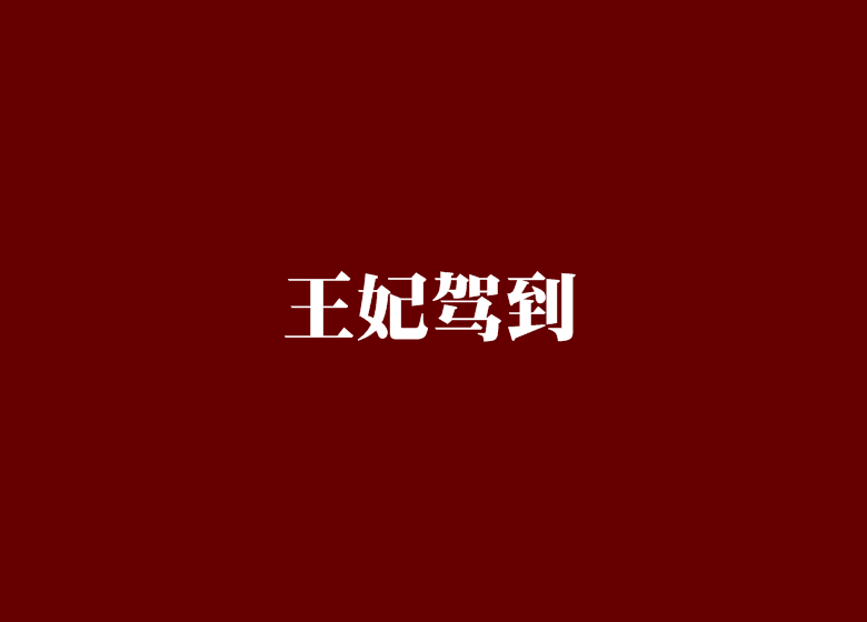 王妃駕到(小說) 王妃駕到(小說)