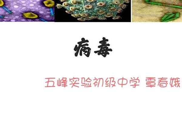 病毒(微課課程) 病毒(微課課程)