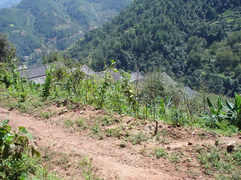 核陽山村 核陽山村