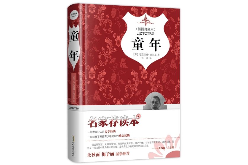 童年(2018年1月安徽文藝出版社出版的圖書) 童年(2018年1月安徽文藝出版社出版的圖書)
