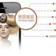 金指揮 金指揮