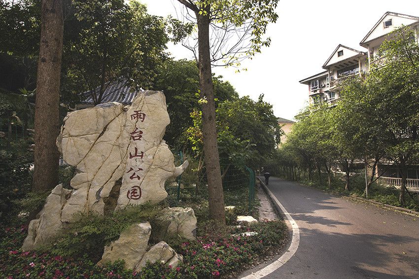雨台山公園 雨台山公園