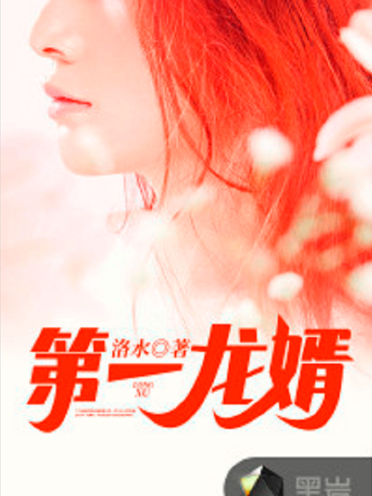 第一龍婿(黑岩網小說) 第一龍婿(黑岩網小說)