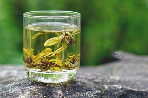 菩提茶 菩提茶