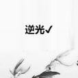 逆光✔ 逆光✔