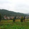 水塘村(雲南省曲靖會澤縣駕車鄉水塘村委會) 水塘村(雲南省曲靖會澤縣駕車鄉水塘村委會)