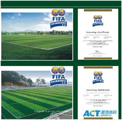 國際標準足球場人造草
