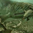 含肺魚 含肺魚