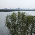 袁河 袁河