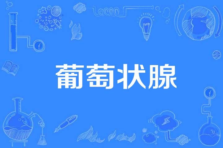 葡萄狀腺 葡萄狀腺