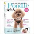 Poodle貴賓犬 Poodle貴賓犬