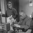 不老松(中國電影（1959年）)