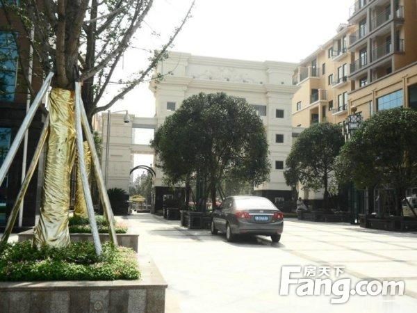 富豪新岸 富豪新岸