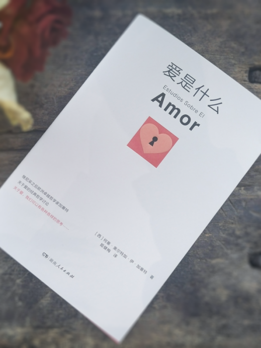 愛是什麼(2024年湖南人民出版社出版的圖書) 愛是什麼(2024年湖南人民出版社出版的圖書)