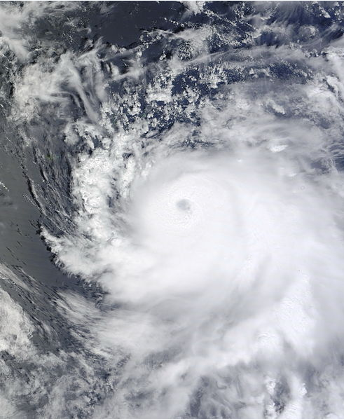 颱風圓規衛星雲圖