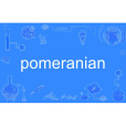 pomeranian pomeranian