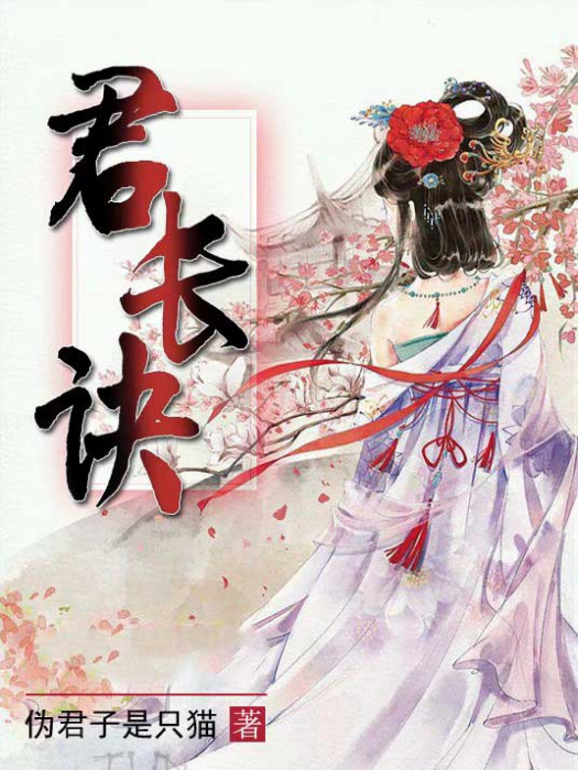 君長訣