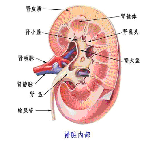 腎臟急性損傷