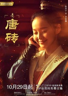 唐磚(2018年王天辰、張佳寧主演網路劇)