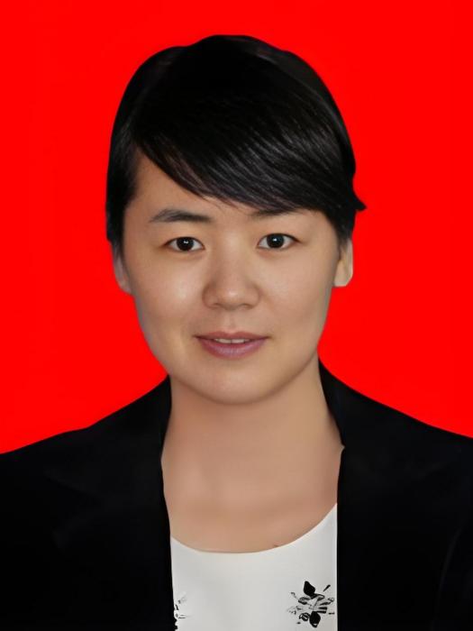 丁敏(民建寧夏區委會副主委,寧夏回族自治區國資委副主任(掛職)) 丁敏(民建寧夏區委會副主委,寧夏回族自治區國資委副主任(掛職))