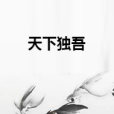 天下獨吾 天下獨吾
