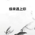 緣來遇上妳 緣來遇上妳