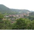 法咱村 法咱村