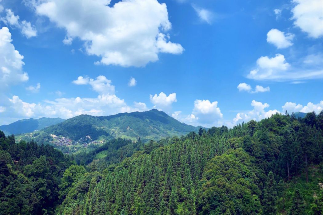 牛心頂(吉林省吉林市威虎嶺下的山脈) 牛心頂(吉林省吉林市威虎嶺下的山脈)