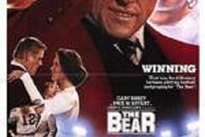 The Bear The Bear
