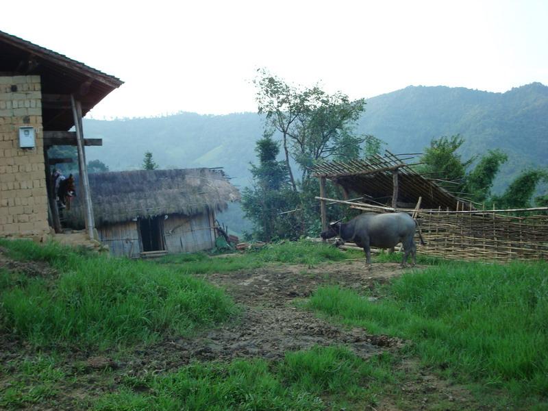 下寨村(雲南宣威市格宜鎮下轄村)