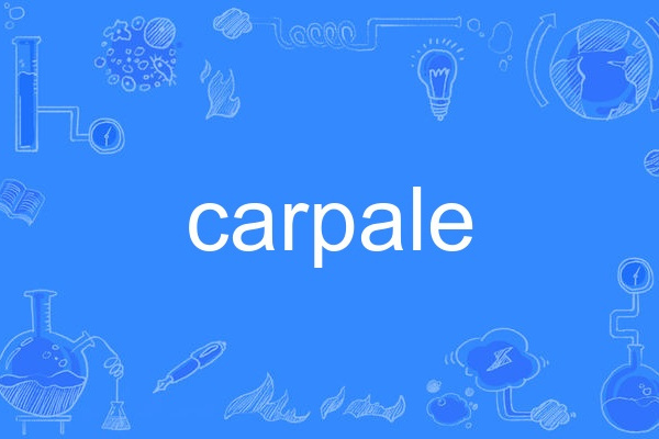 carpale carpale
