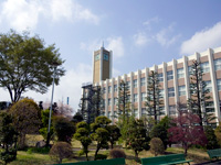 東京富士大學