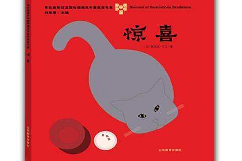 驚喜(2016年山東教育出版社出版的圖書)