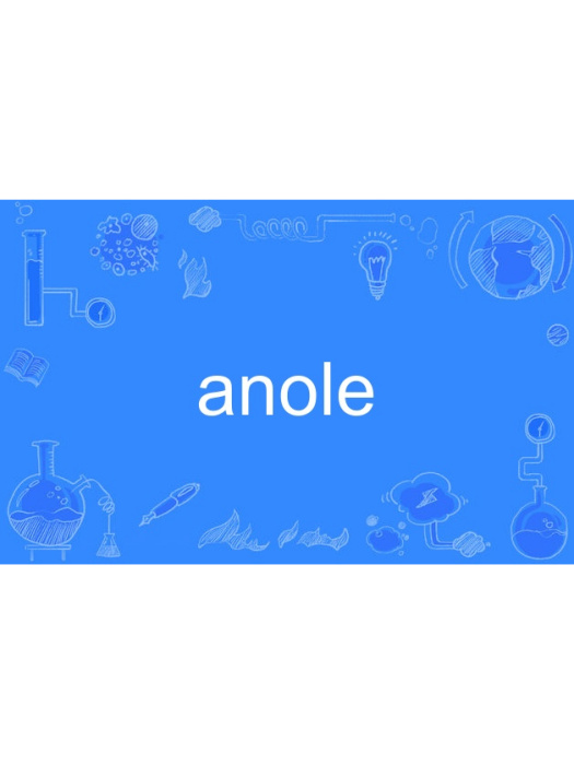 anole anole