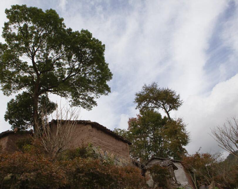東撞村 東撞村