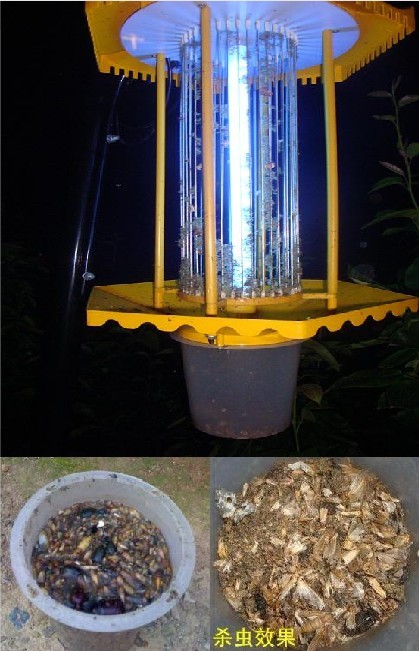 金品德太陽能殺蟲燈