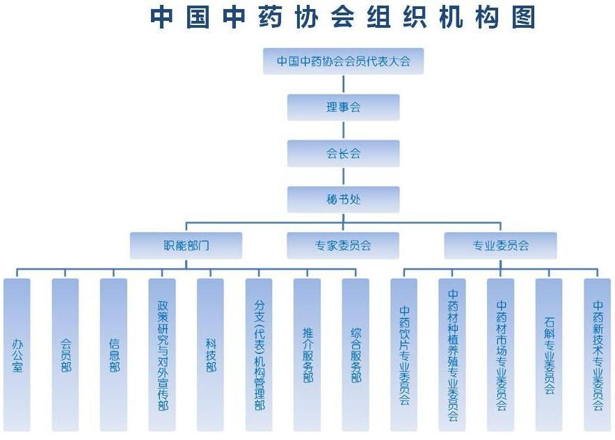 組織結構圖