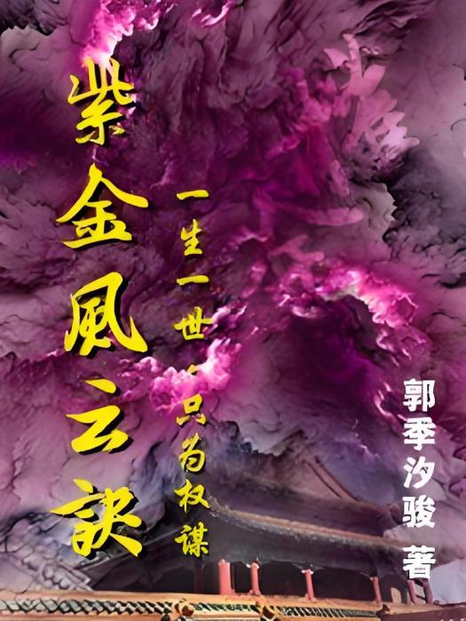 紫金風雲訣 紫金風雲訣