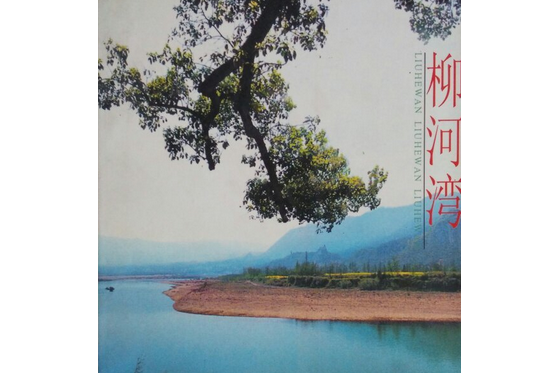柳河灣(2001年解放軍文藝出版社出版的圖書) 柳河灣(2001年解放軍文藝出版社出版的圖書)