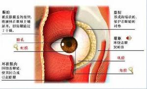 中心性視網膜炎