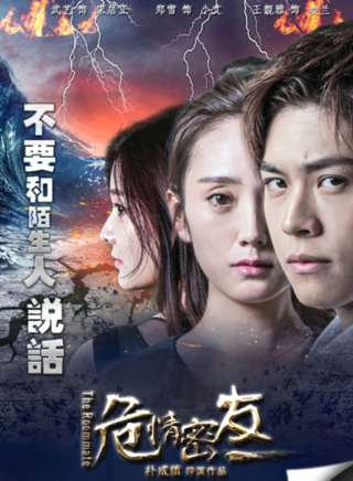 王靚雅 王靚雅