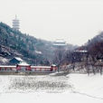 青檀寺